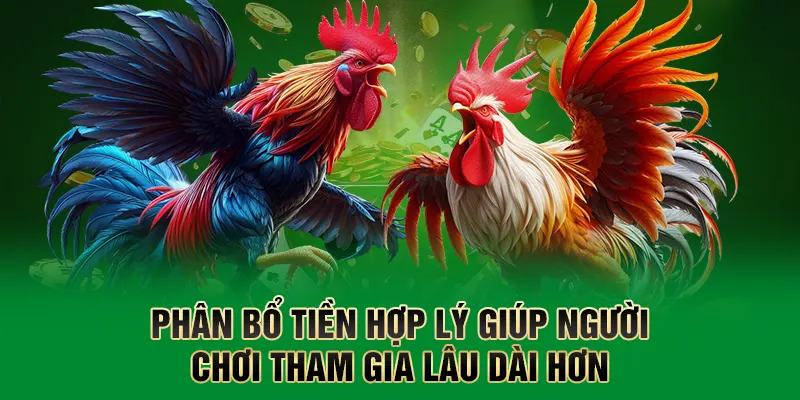 Đá Gà QQ88 – Sân Chơi Cá Cược Được Yêu Thích Hàng Đầu Tại QQ88 4 Phân bổ tiền hợp lý giúp người chơi tham gia lâu dài hơn